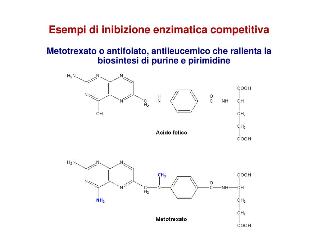 Enzimi Ppt Scaricare